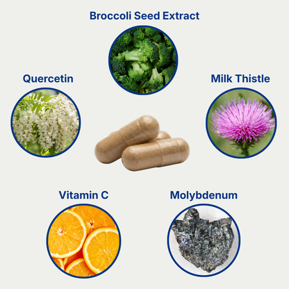 Respora Daily Detox Support